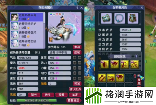 梦幻西游神威天宫神豪装备展示