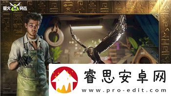 影子武士2画面优化设置推荐选哪个