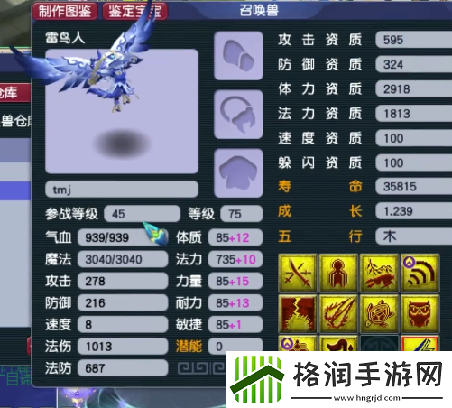 梦幻西游精锐高手揭秘