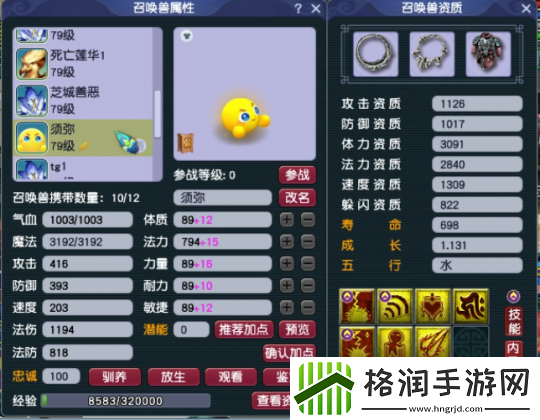 梦幻西游精锐高手揭秘