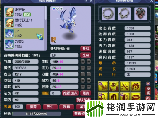 梦幻西游精锐高手揭秘