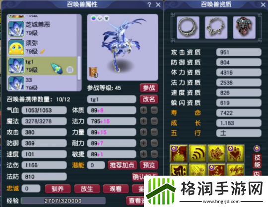 梦幻西游精锐高手揭秘