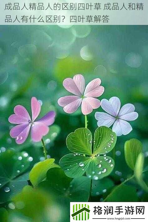 成品人精品人的区别四叶草