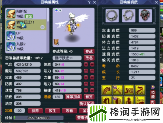 梦幻西游精锐高手揭秘