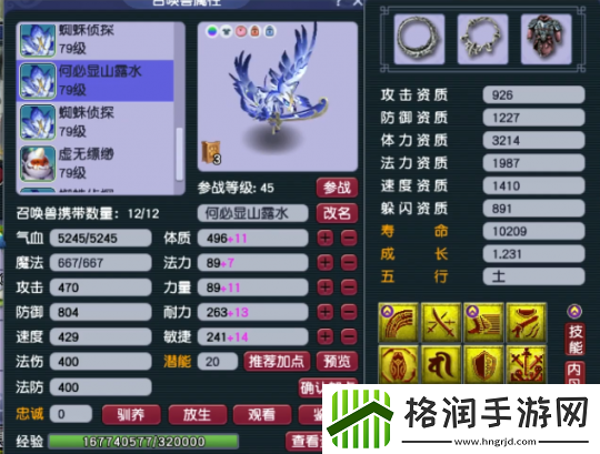 梦幻西游精锐组神豪魔王寨玩家