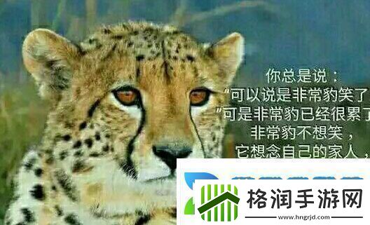 你不知道你不在乎你只关心你自己是什么梗络用语