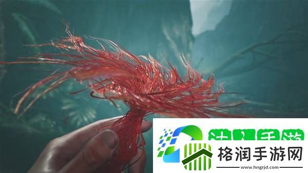 怪物猎人荒野攻略总汇