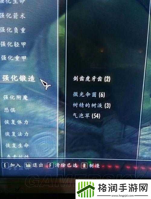 上古卷轴刀锋神器为何无法强化