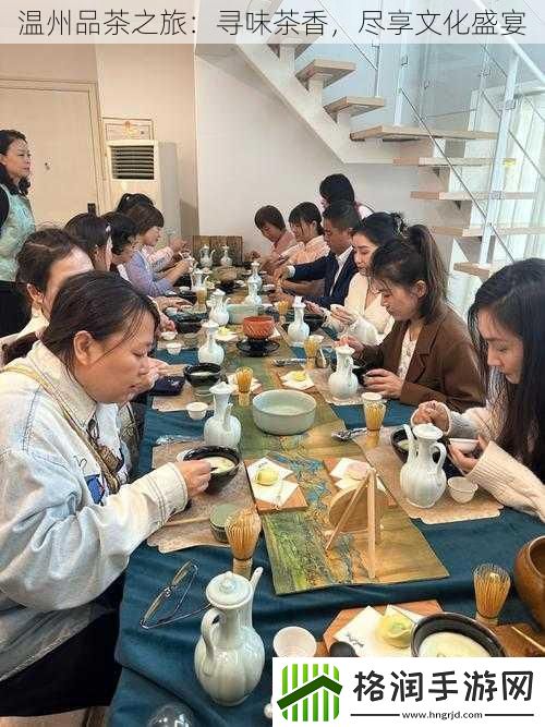 温州品茶之旅