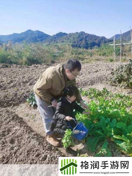 拔萝卜又叫黄9.1