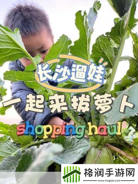 拔萝卜又叫黄9.1