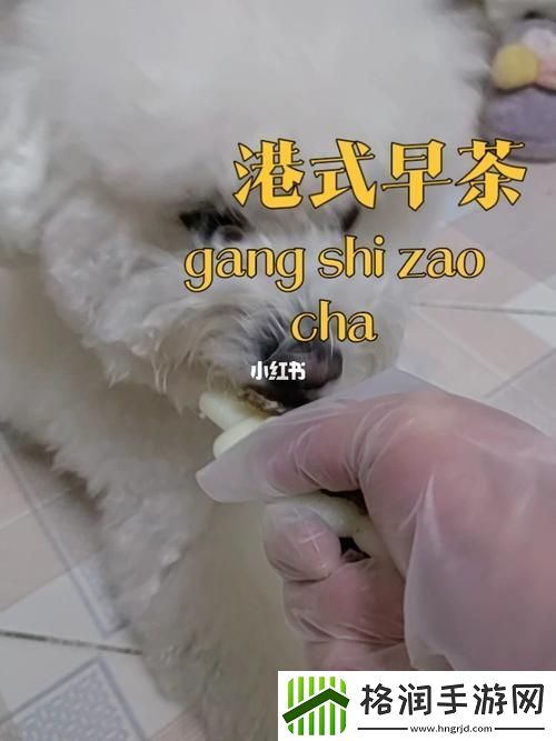 美国人与动物胶配方大全图片流畅不卡顿