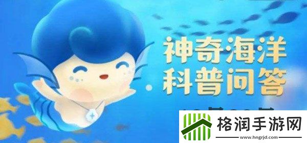 以下哪种海洋动物更擅长游泳