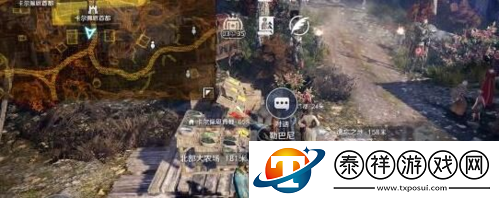 黑色沙漠手游玫瑰怎么获得