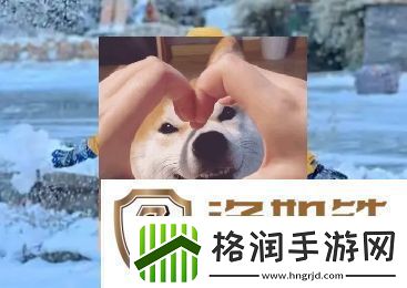 南方沙糖桔是什么梗络用语