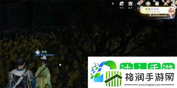 射雕手游安石榴怎么获得
