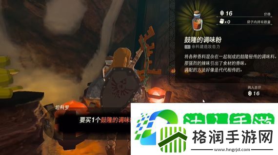 王国之泪烦恼的萝莱尔任务怎么做