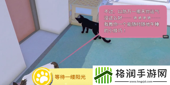 小猫咪大城市快速午睡怎么解锁