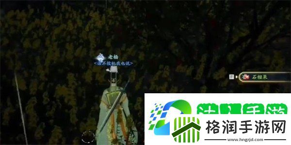 射雕手游安石榴怎么获得