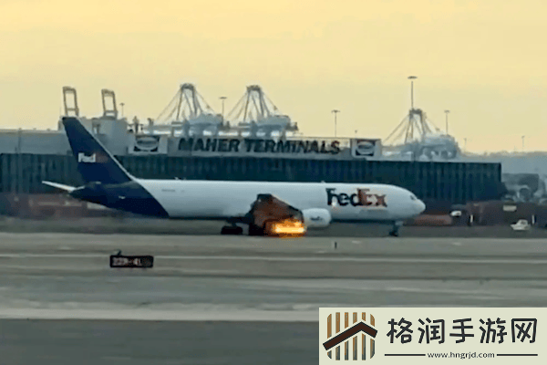 美国一波音767飞机撞鸟