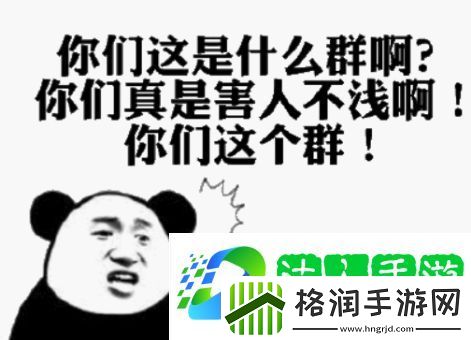 你们这个是什么群啊是什么梗网络用语
