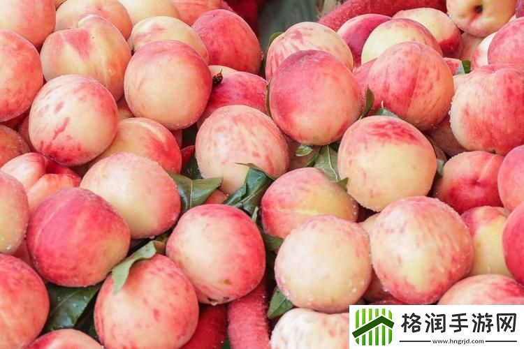 一曲二曲三曲水蜜桃澳门