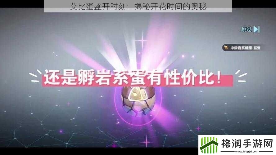 艾比蛋盛开时刻