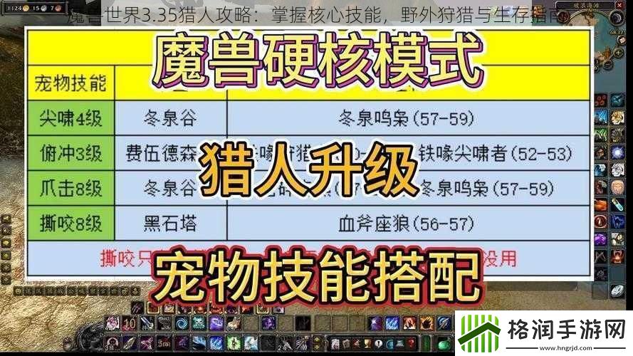 魔兽世界3.35猎人攻略