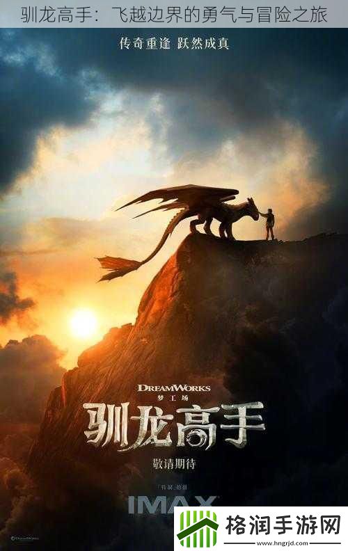 驯龙高手