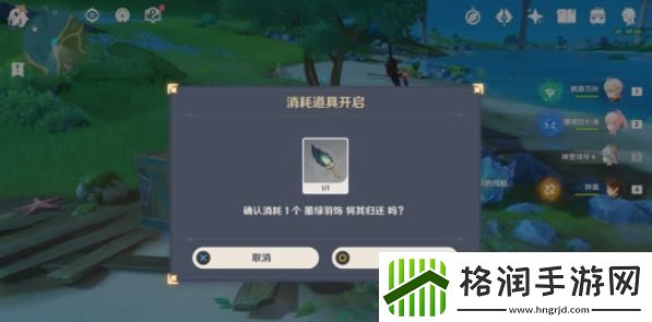 原神墨绿羽饰有什么用