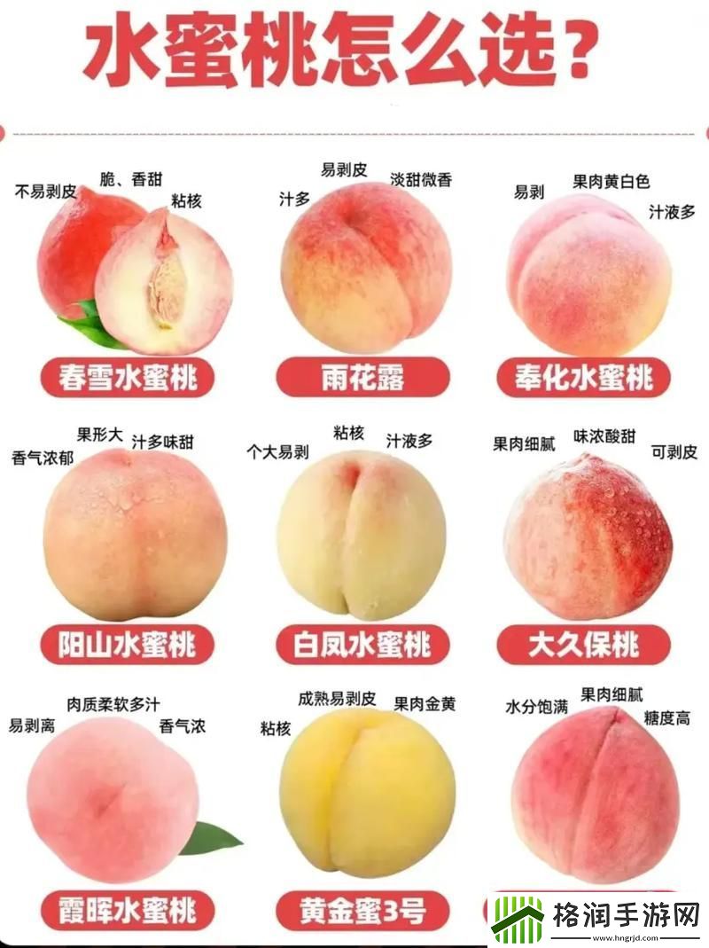 日一曲二曲三曲四曲水蜜桃稳居榜首