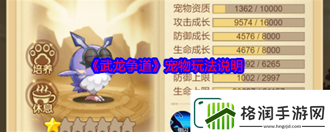 武龙争道宠物玩法说明