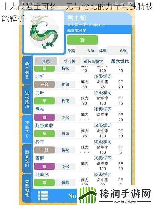 十大最强宝可梦