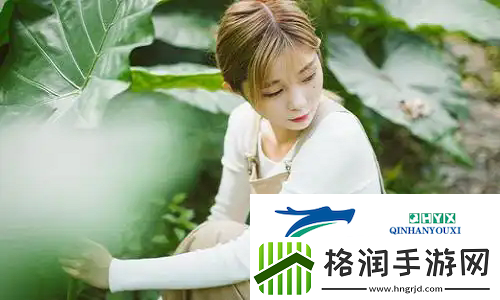人狗大战2高清正版免费观看