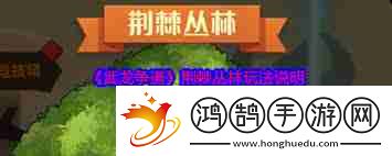 武龙争道荆棘丛林玩法攻略