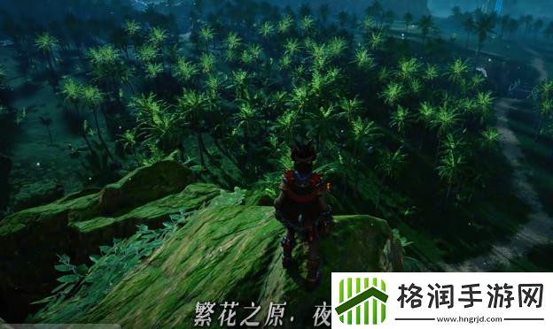 荒野起源密林位置介绍