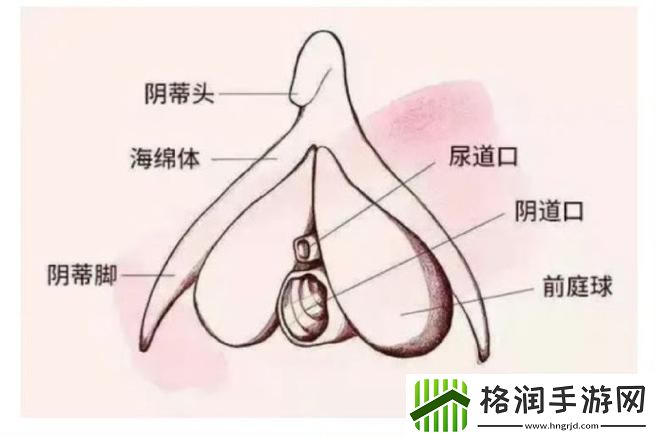 探寻“大荫蒂BBBBBB大荫蒂”的独特魅力与影响力游戏玩法