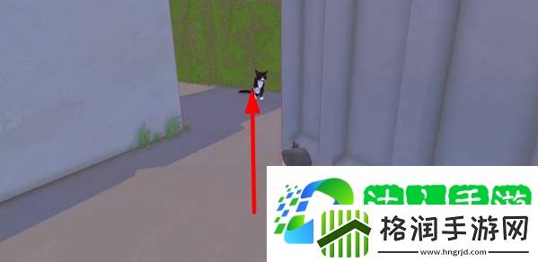 小猫咪大城市日常美容动作怎么获得