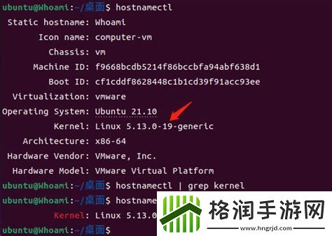 选择适合你的Linux系统版本