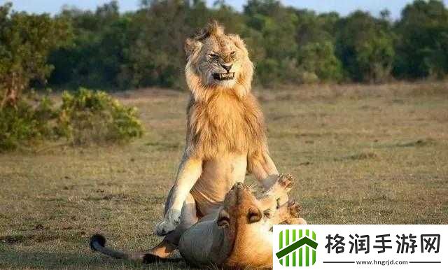 又黄又猛又粗