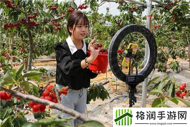 阴桃直播更新了