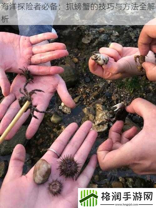海洋探险者必备