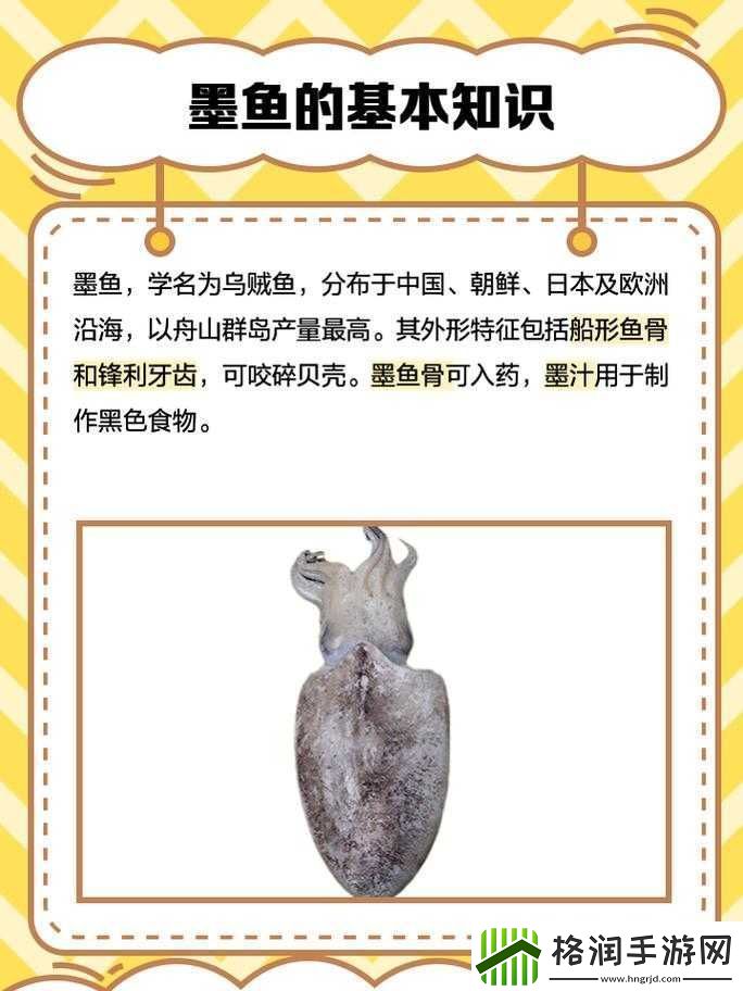 深海奇遇中的动物餐厅