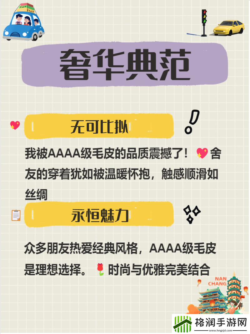 深入探讨“区分AAAA级毛和AAAA”的区别与应用