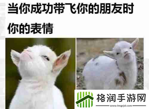 当你成功带飞你的朋友时表情包