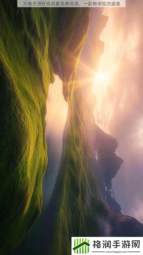 大地资源在线观看免费高清火爆上线