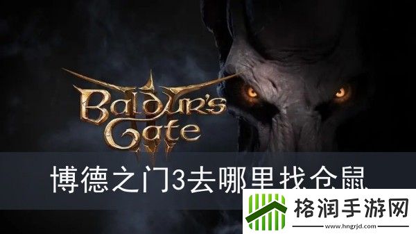 博德之门3去哪里找仓鼠