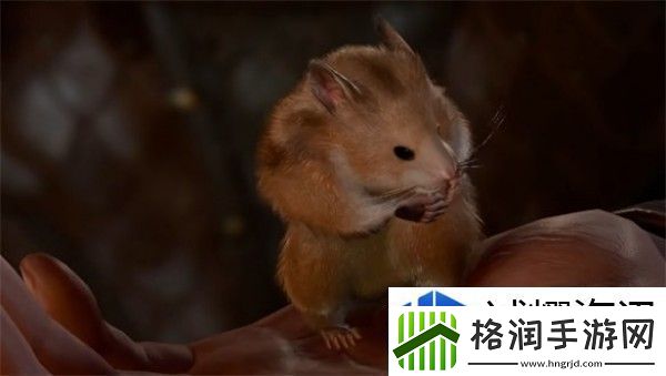 博德之门3去哪里找仓鼠-博德之门3仓鼠位置分享