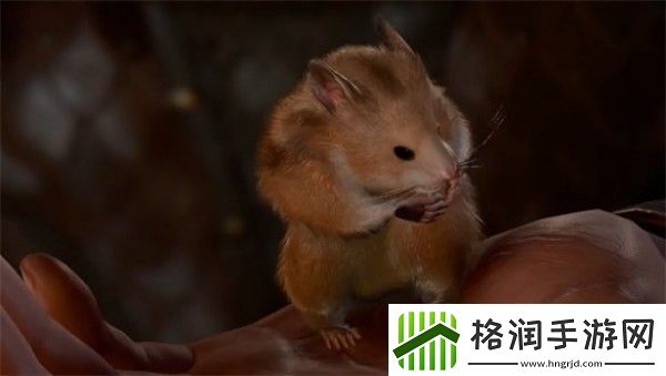 博德之门3去哪里找仓鼠