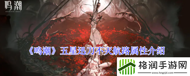 鸣潮五星迅刀不灭航路属性介绍